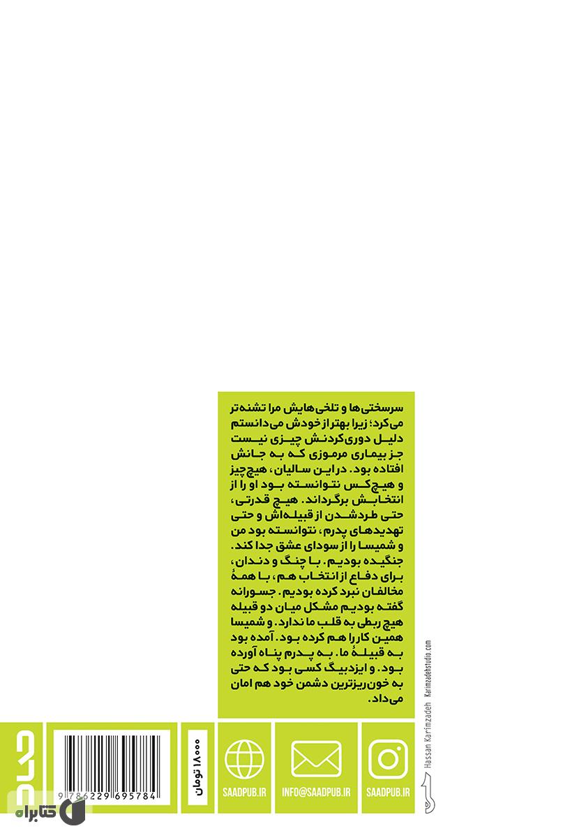 پشت جلد کتاب آیات مس