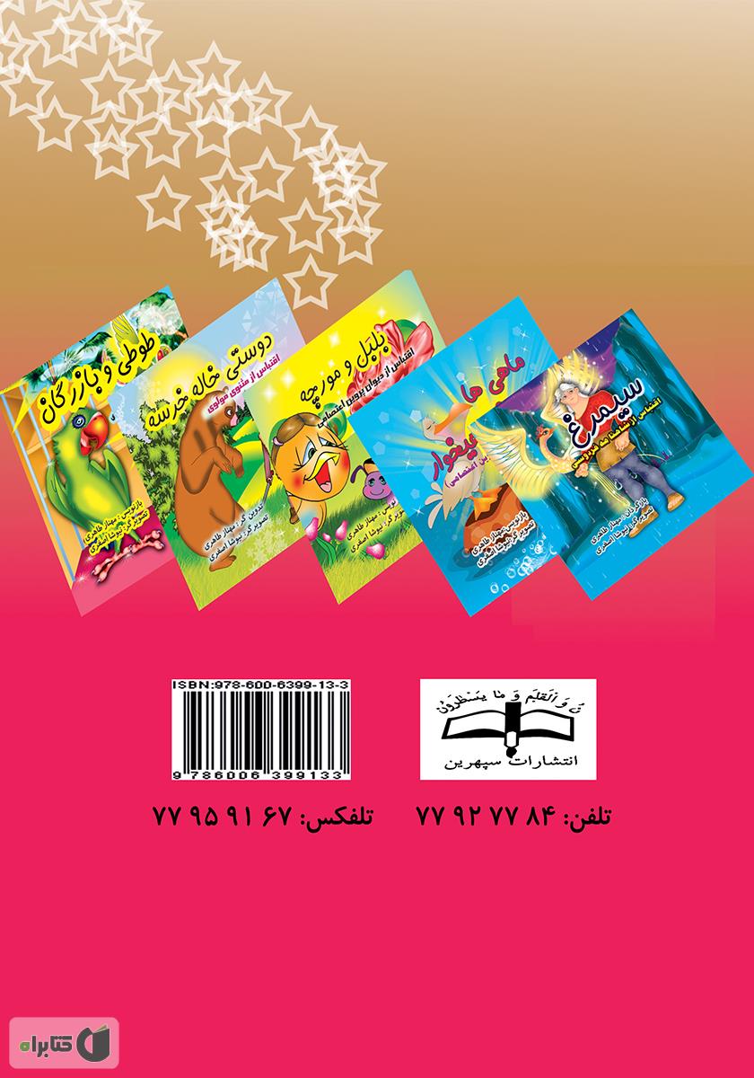 پشت جلد کتاب طوطی و بازرگان