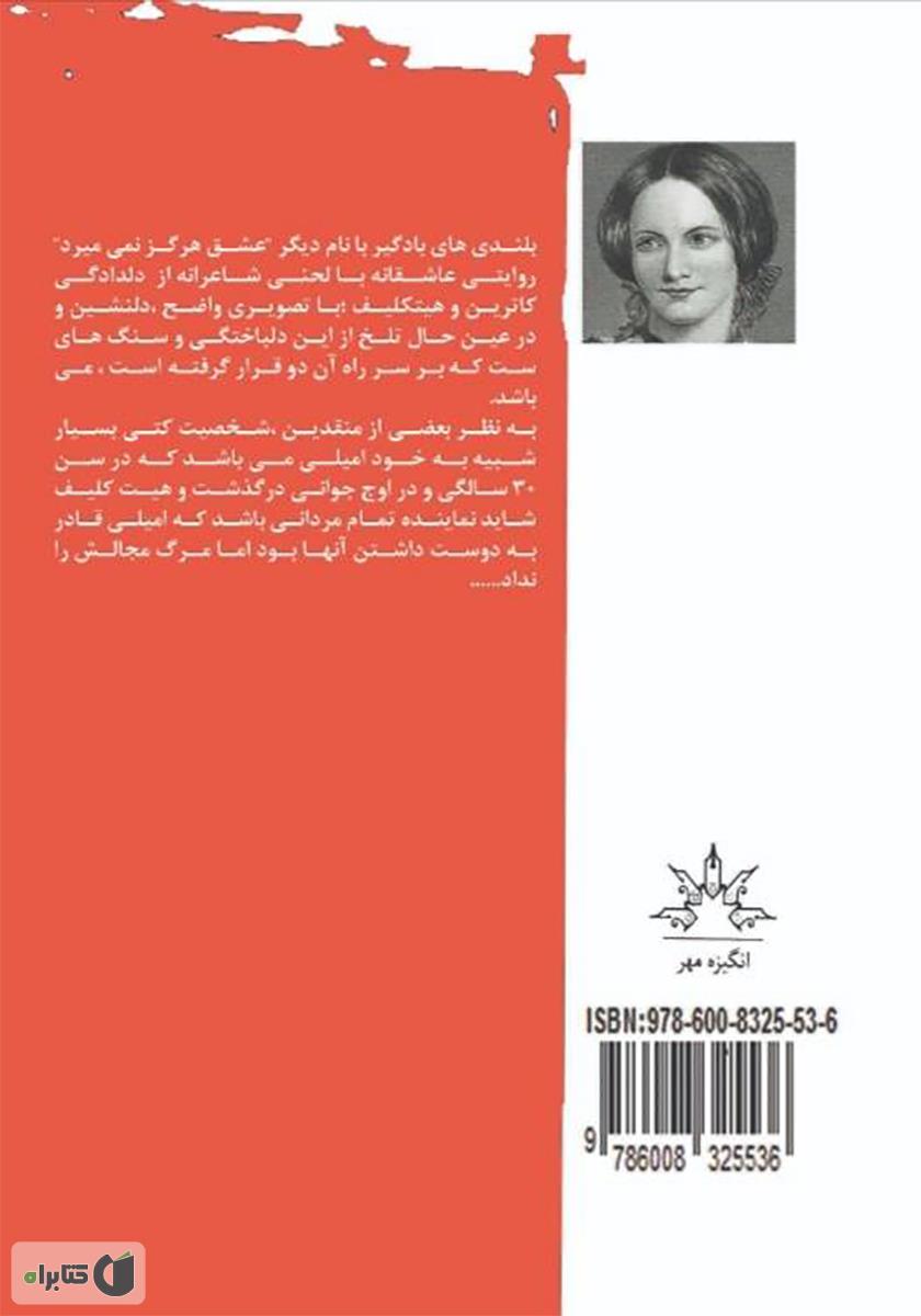پشت جلد کتاب بلندیهای بادگیر