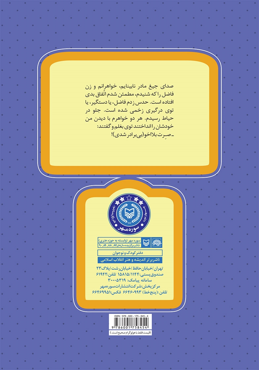 پشت جلد کتاب یک نیم روز سوخته