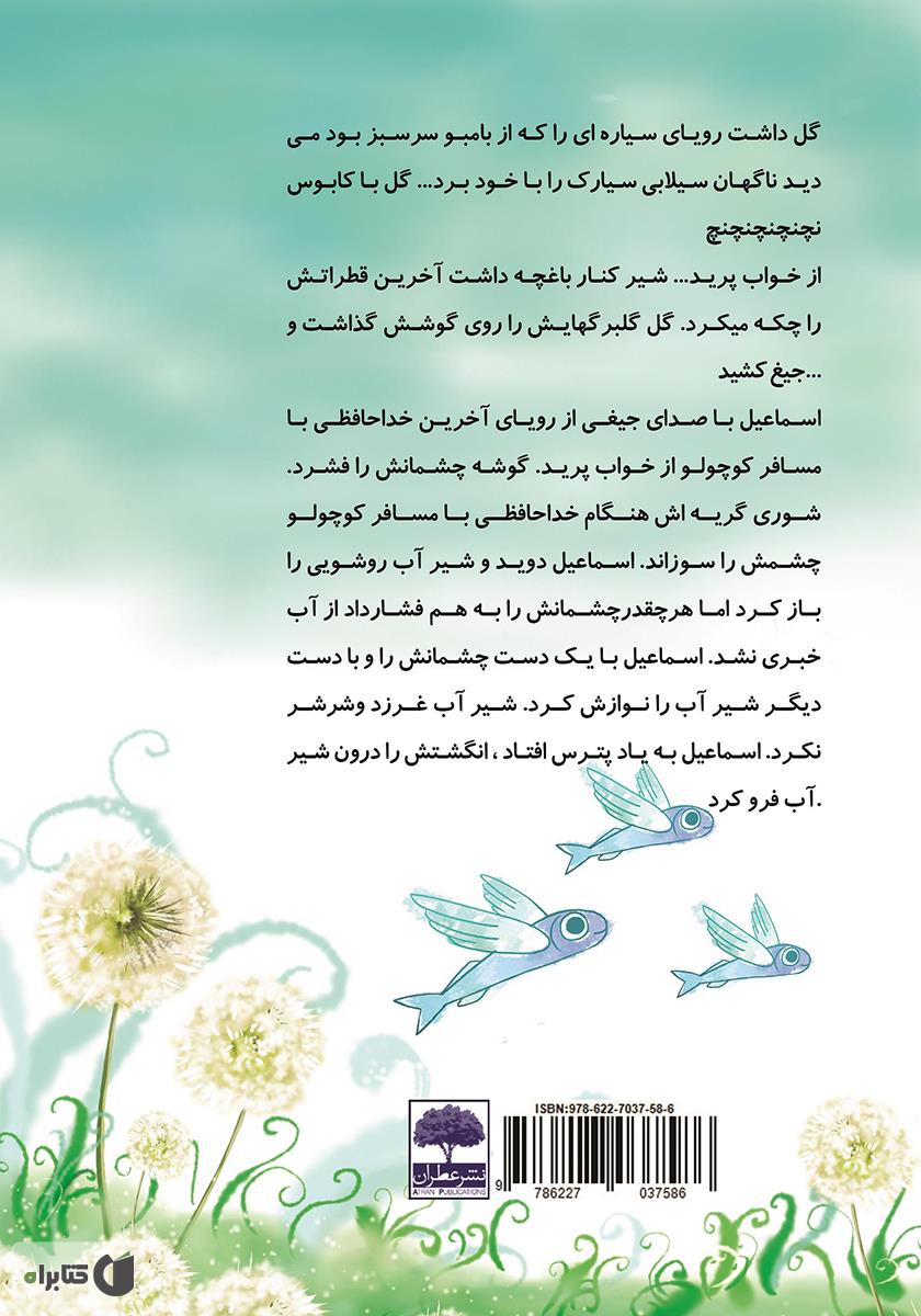 پشت جلد کتاب سرزمین بیدمهای رادین