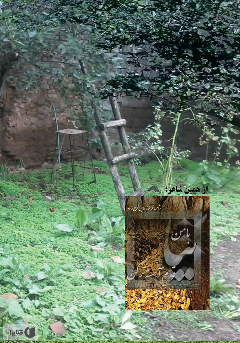 پشت جلد کتاب زندگی شاید بهتر از این باشد