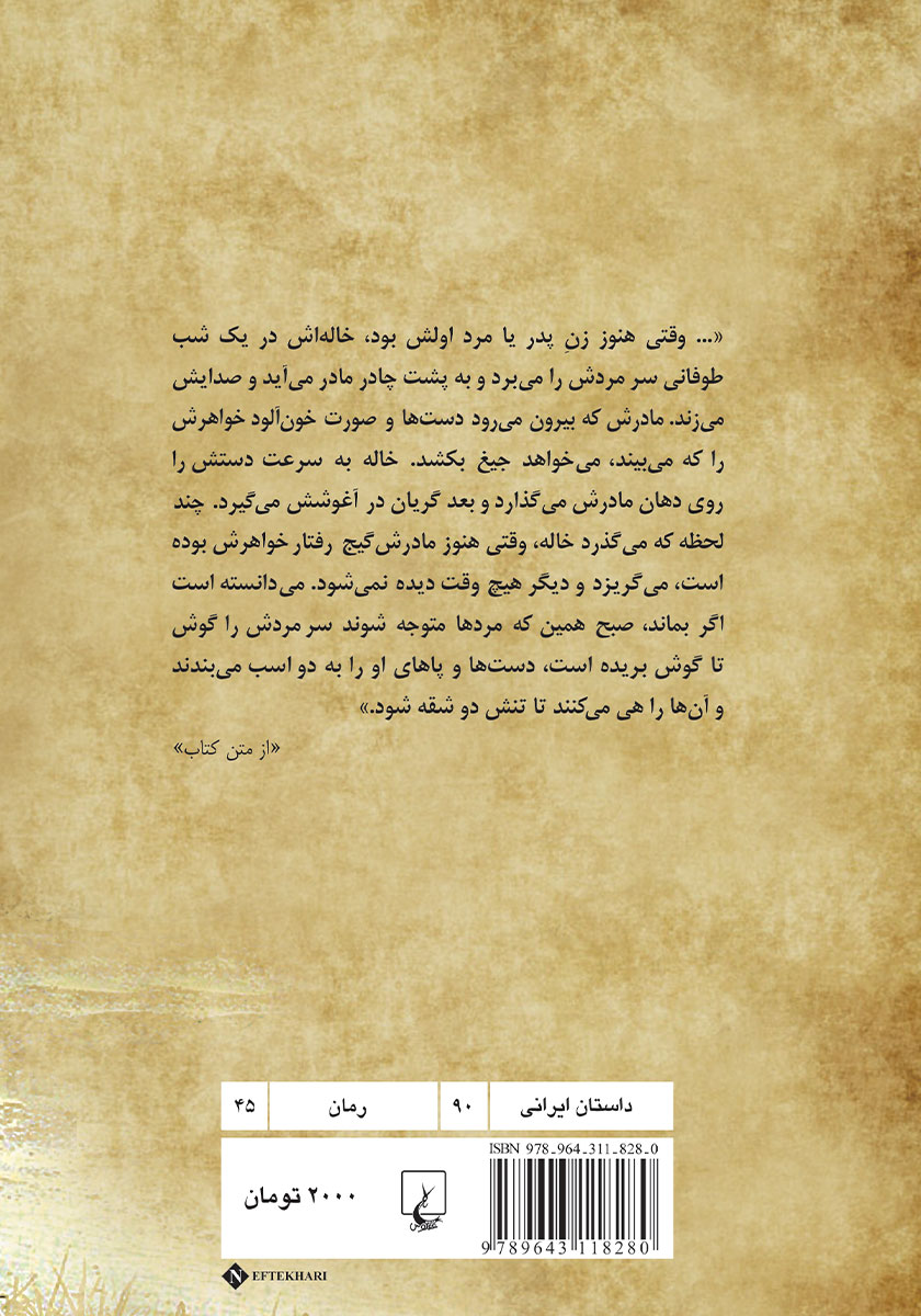 پشت جلد کتاب کتاب زنان فراموش شده