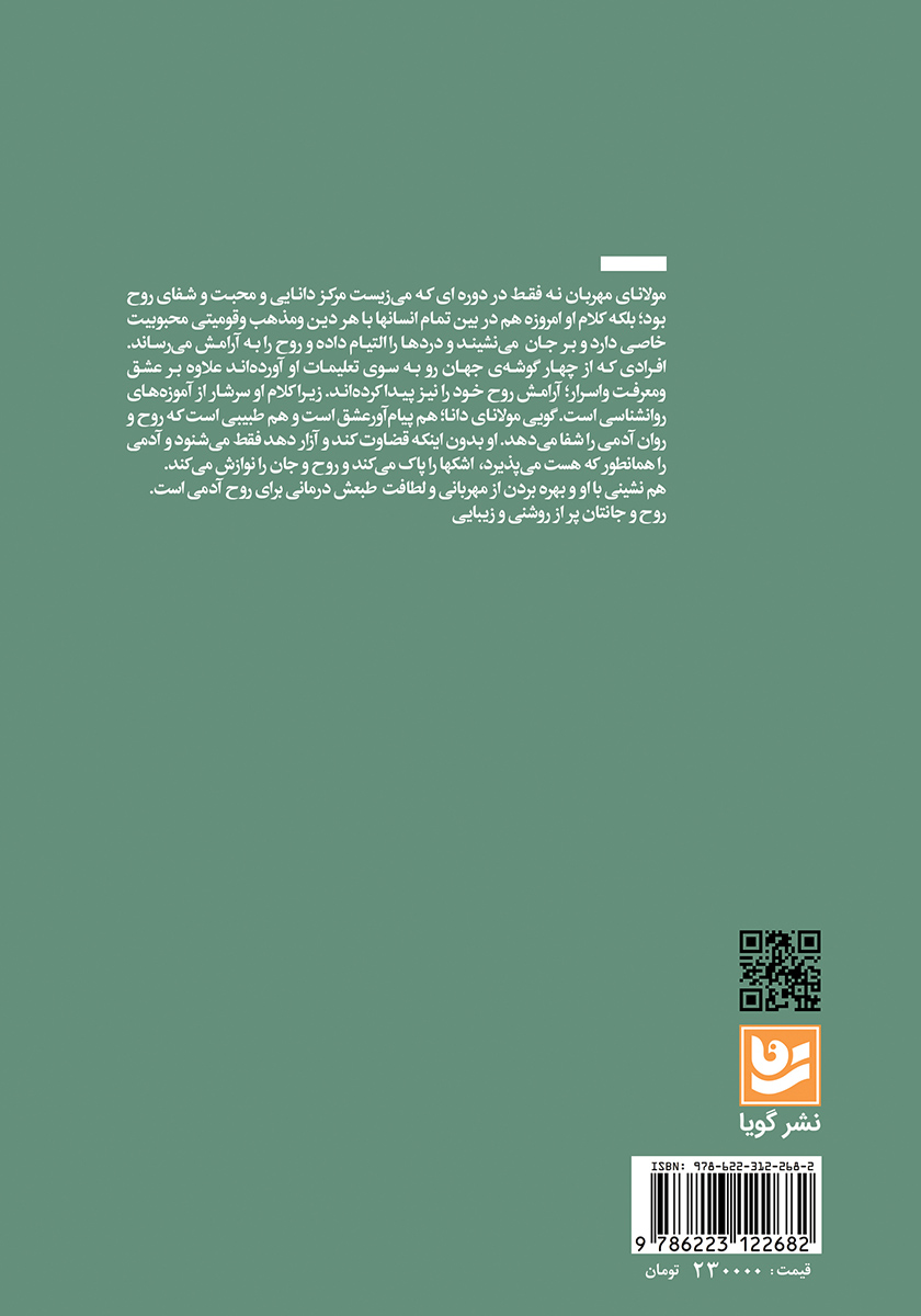 پشت جلد کتاب روح درمانی با مولانا