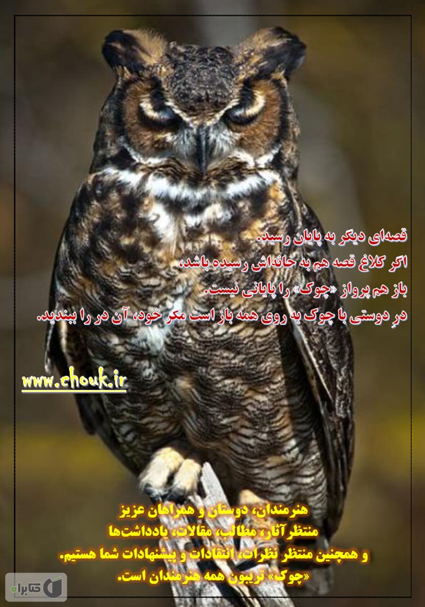 پشت جلد ماهنامه ادبیات داستانی چوک - شماره 113