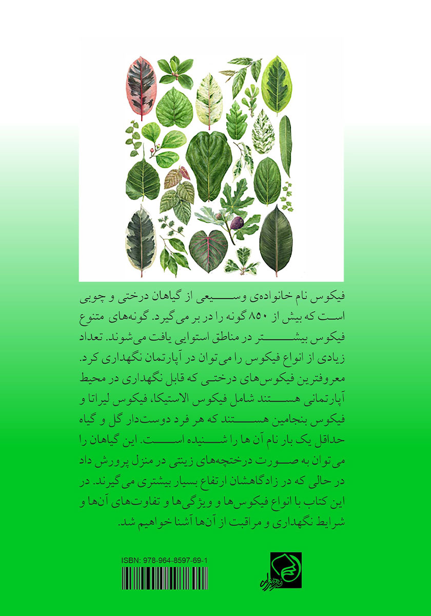 پشت جلد کتاب آموزش نگهداری از انواع گیاه فیکوس