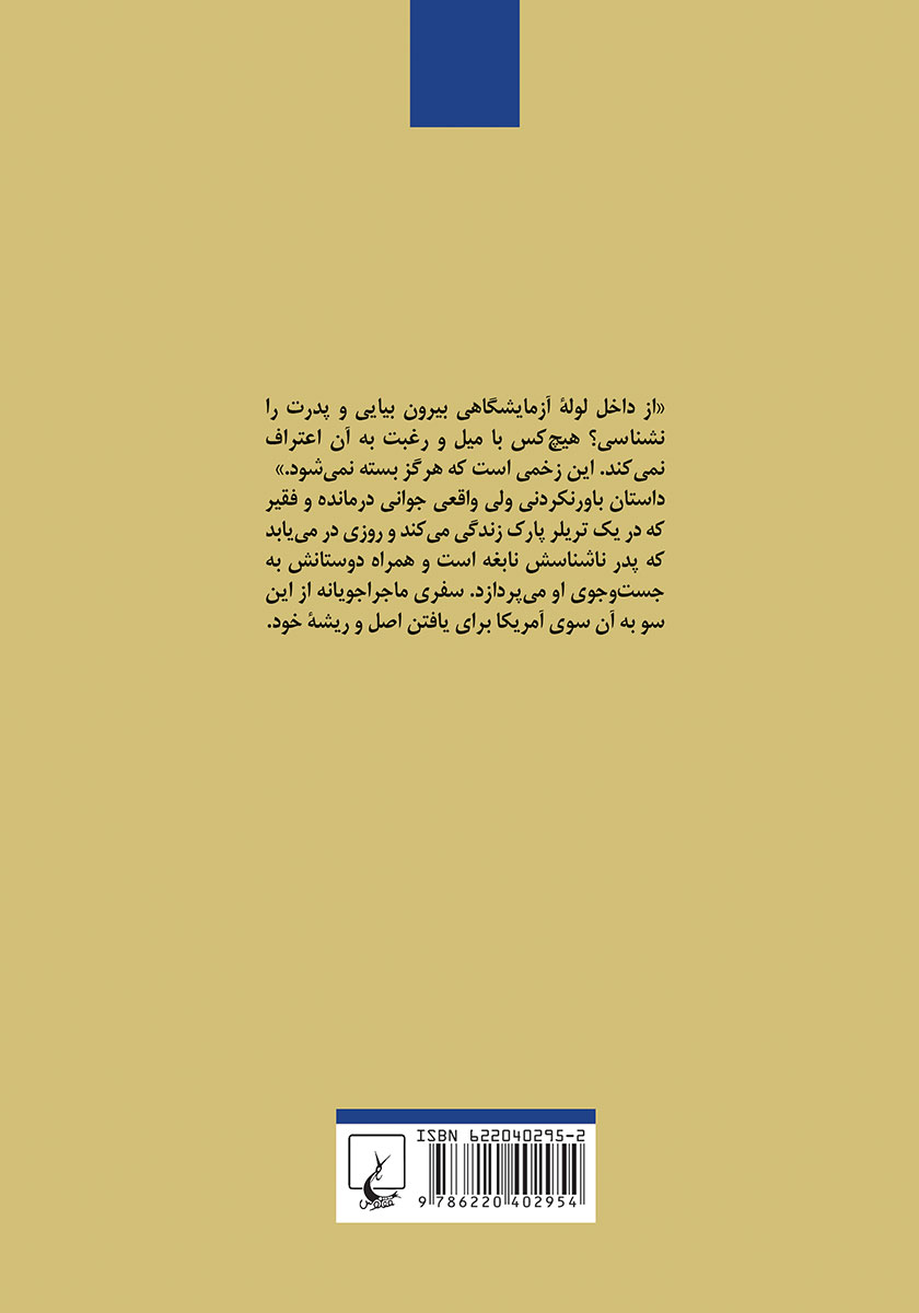 پشت جلد کتاب تقریبا نابغه