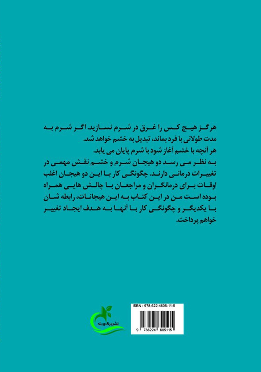 پشت جلد کتاب شرم و خشم در روان درمانی
