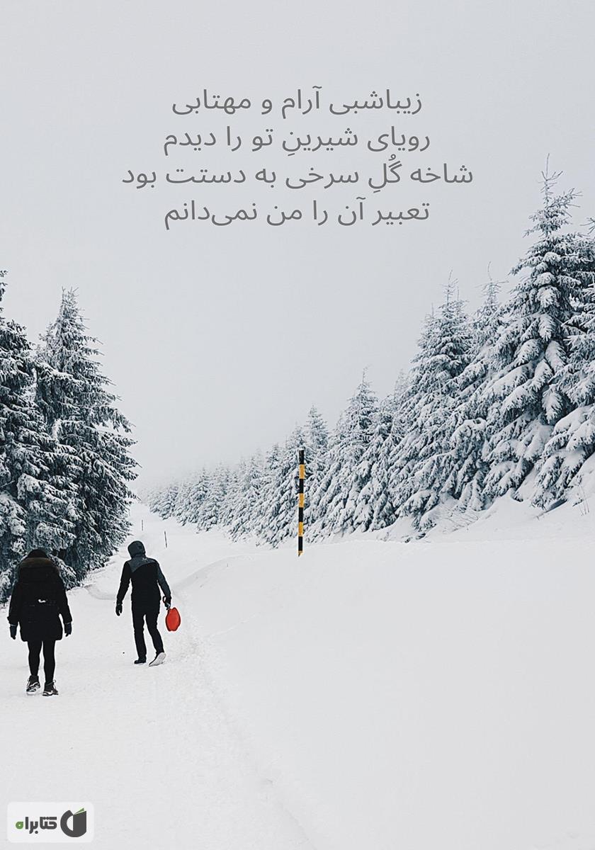 پشت جلد کتاب کتاب غم انگیزترین عشق جهان