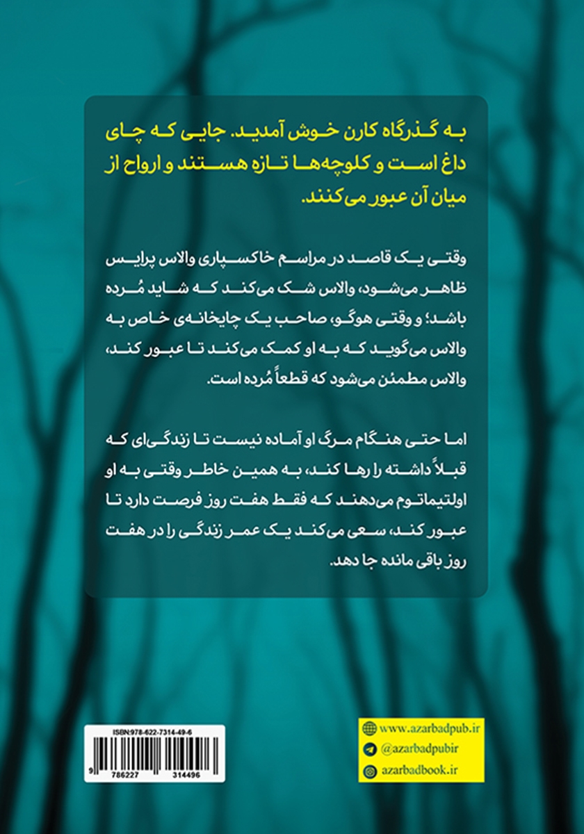 پشت جلد کتاب زیر در زمزمه گر