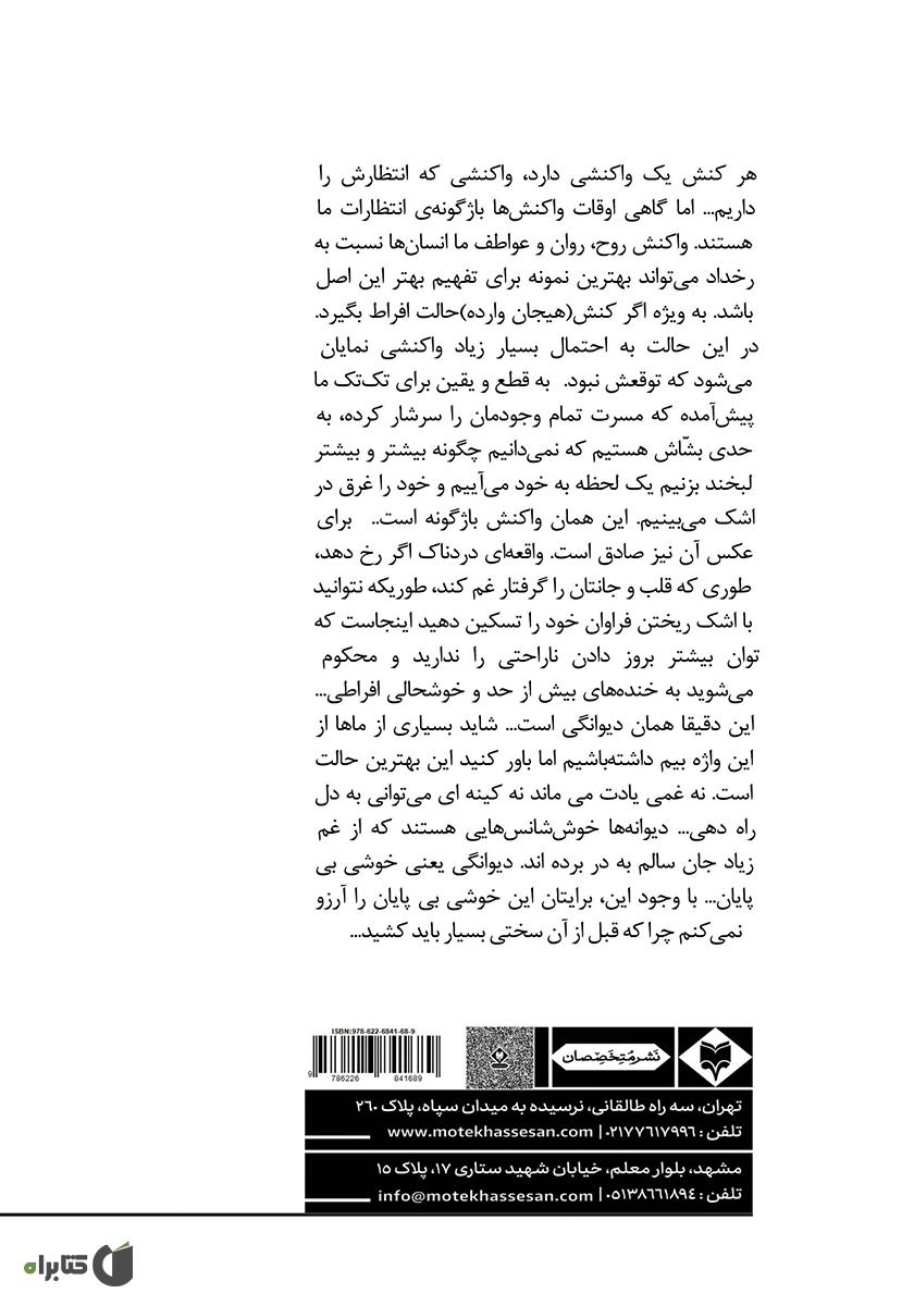 پشت جلد کتاب و این نیز نگذرد