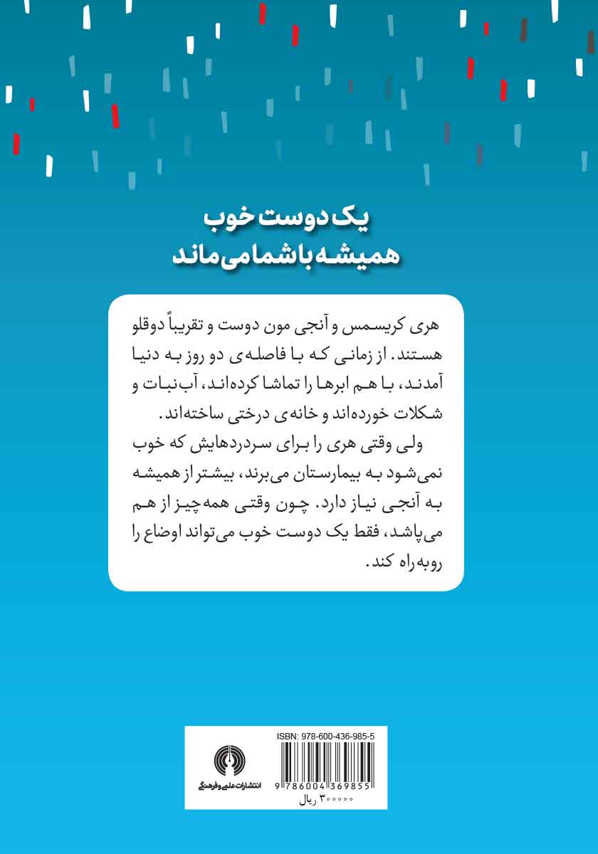 پشت جلد کتاب خانهی ابر و هنر