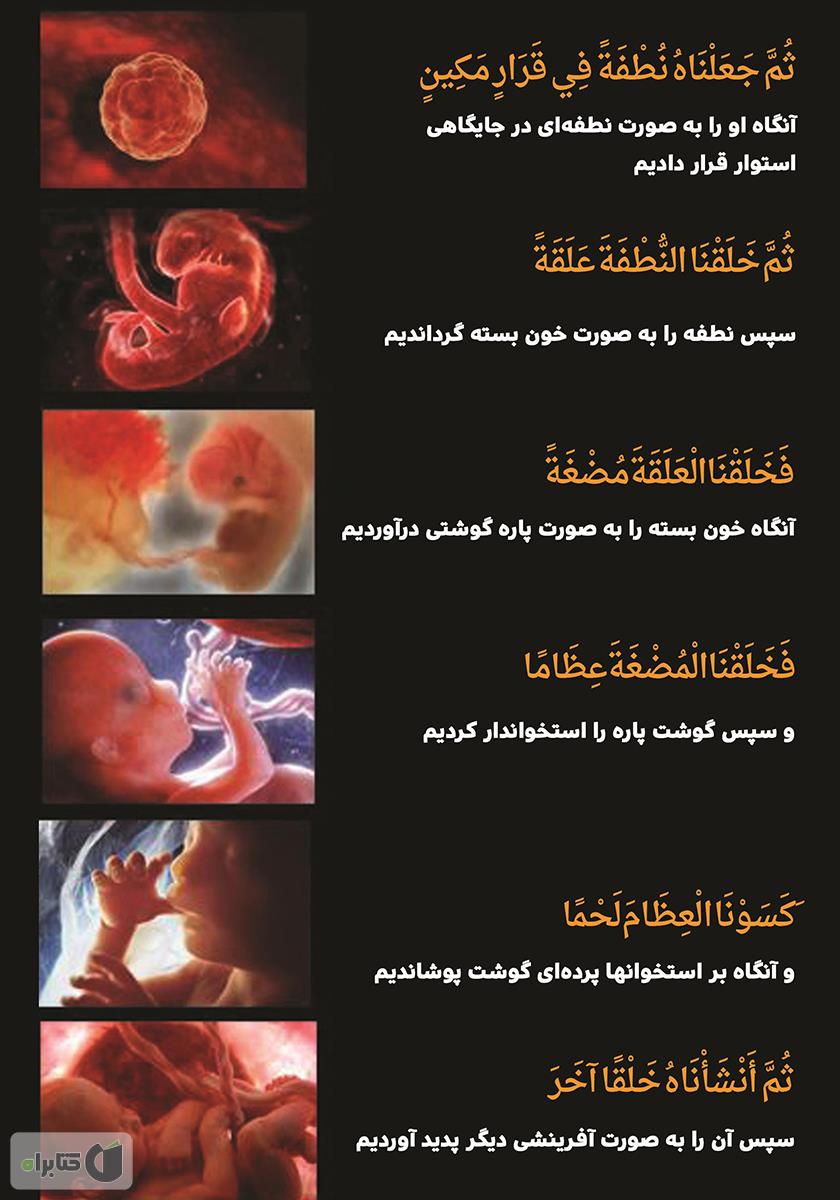 پشت جلد کتاب در جستجوی خدا: اثبات وجود خدا از طریق معجزات علمی قرآن