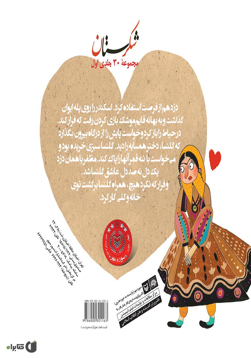 پشت جلد کتاب دزد و گلنسا