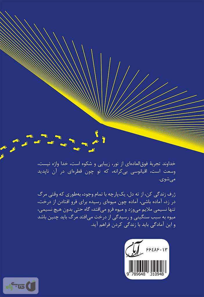 پشت جلد کتاب کتاب شنیدم که دیگر نمی آیی (آنجا که روزی می روی)