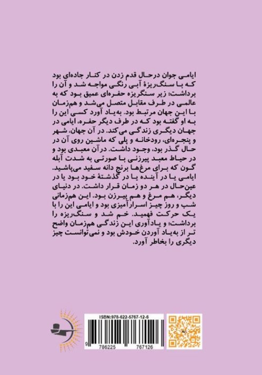 پشت جلد کتاب شب و روزی ناگفته