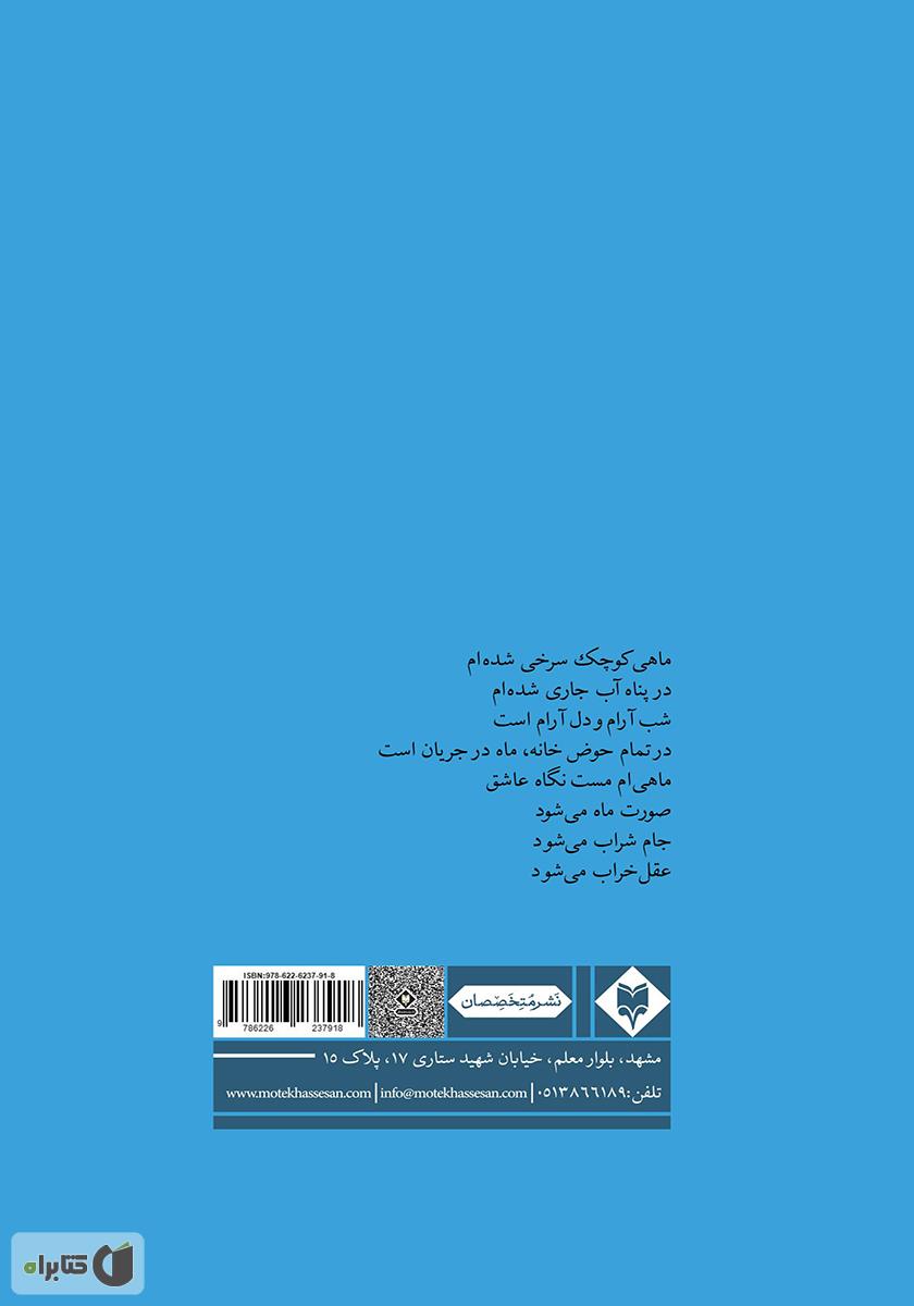 پشت جلد کتاب ماهی کوچک سرخی شدهام