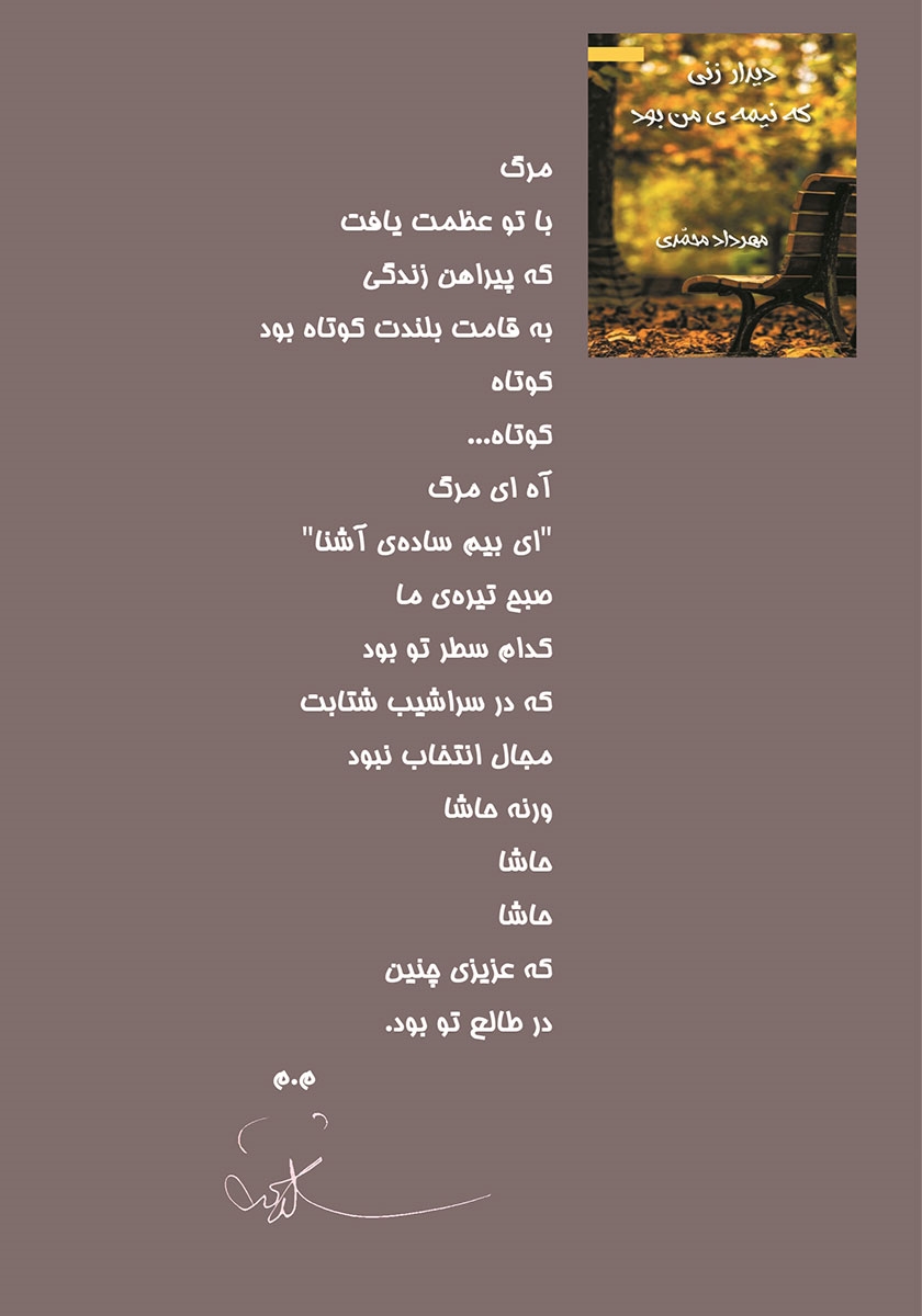 پشت جلد کتاب کتاب دیدار زنی که نیمهی من بود
