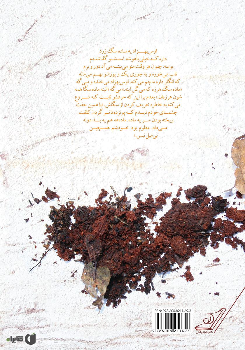 پشت جلد کتاب خاکسپاری ماهی قرمزها