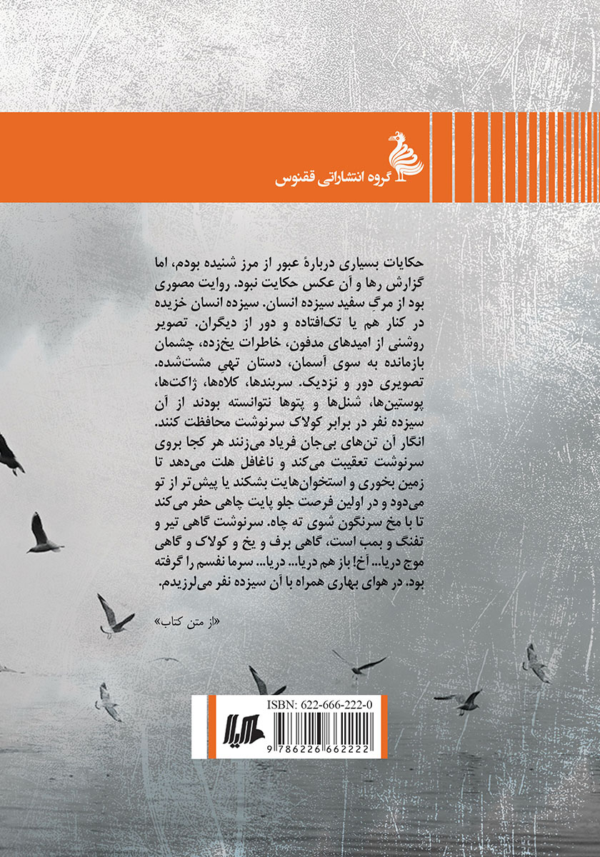 پشت جلد کتاب برسد به دست گمشدهها