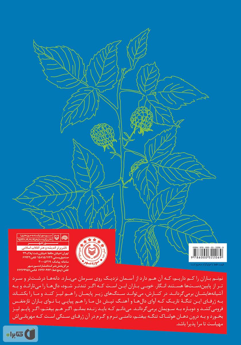 پشت جلد کتاب باران تمشک