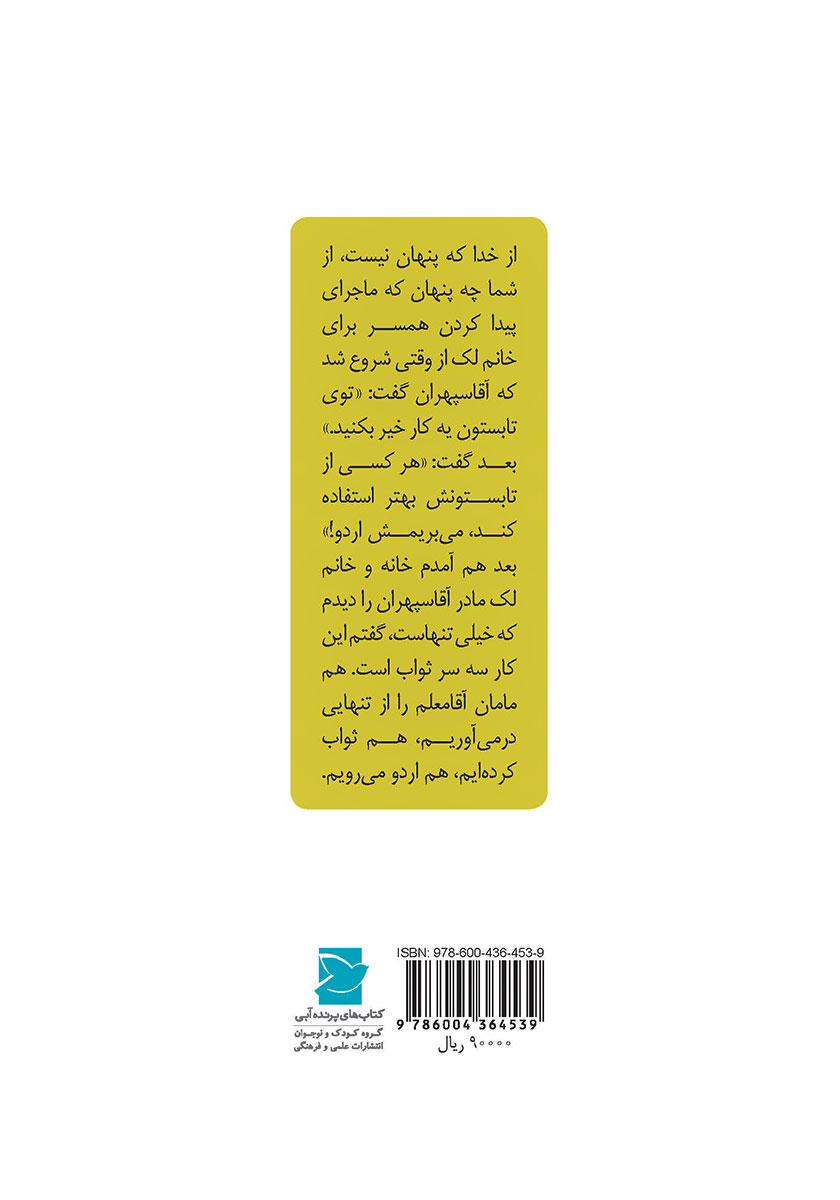 پشت جلد کتاب ماجراهای دو تا بچه چلمن در یک تابستان خیلی معمولی