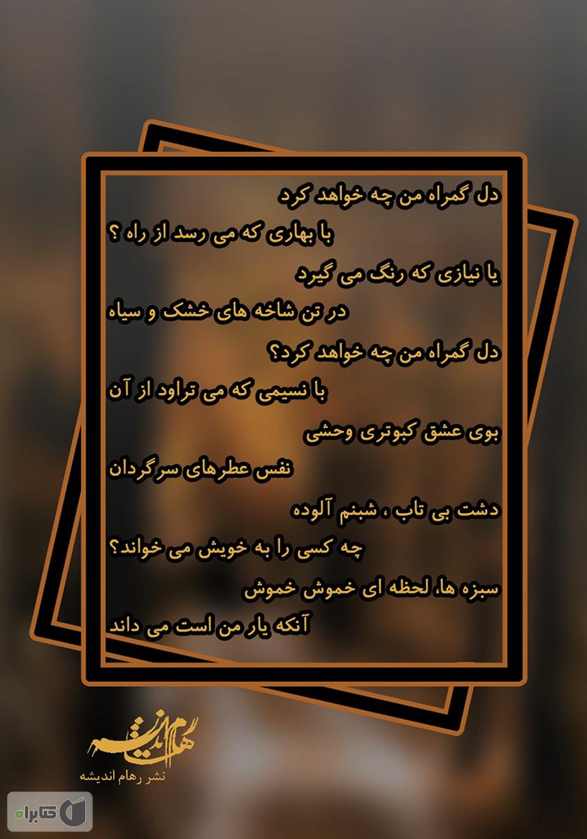 پشت جلد رمان گمشدهای در پاییز