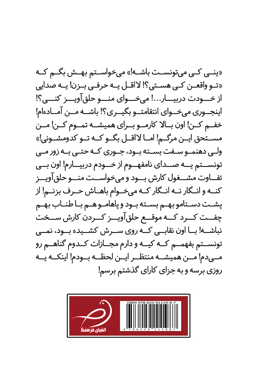 پشت جلد کتاب کتاب وقتی زنم را حلق آویز دیدم! - جلد دوم