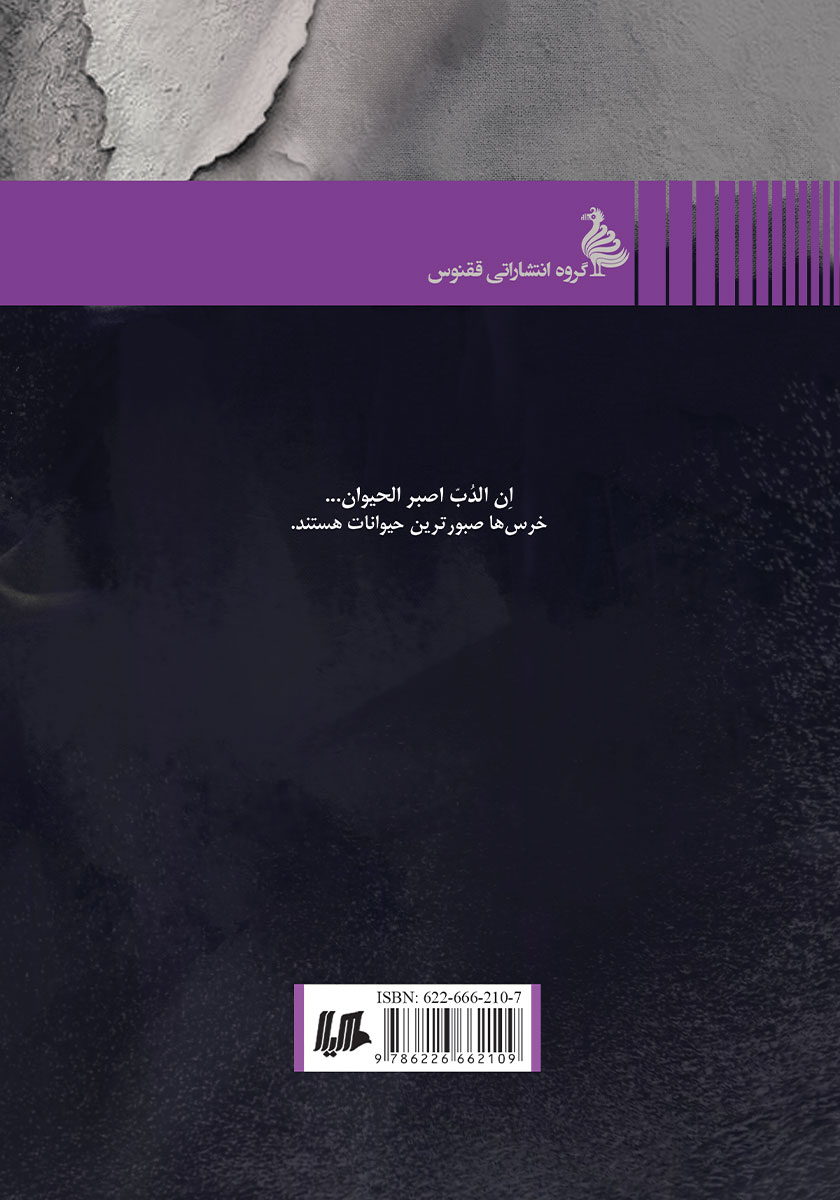 پشت جلد کتاب کتاب شب به خرس