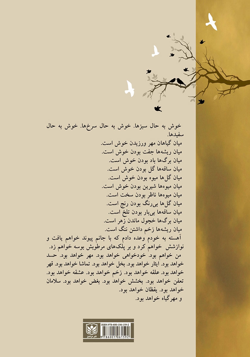پشت جلد کتاب مدرسه عالی پرواز