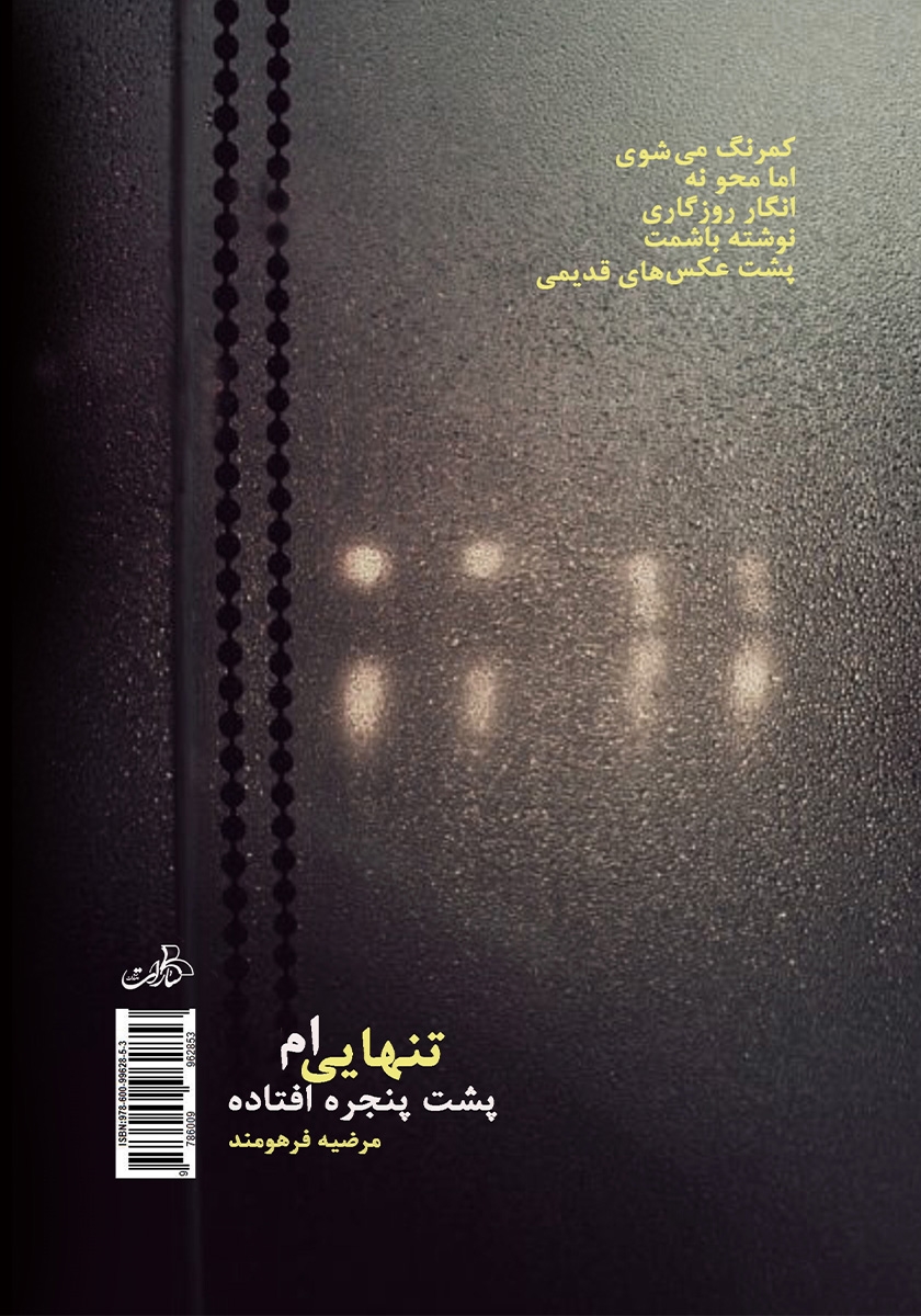 پشت جلد کتاب کتاب تنهایی‌ام پشت پنجره افتاده
