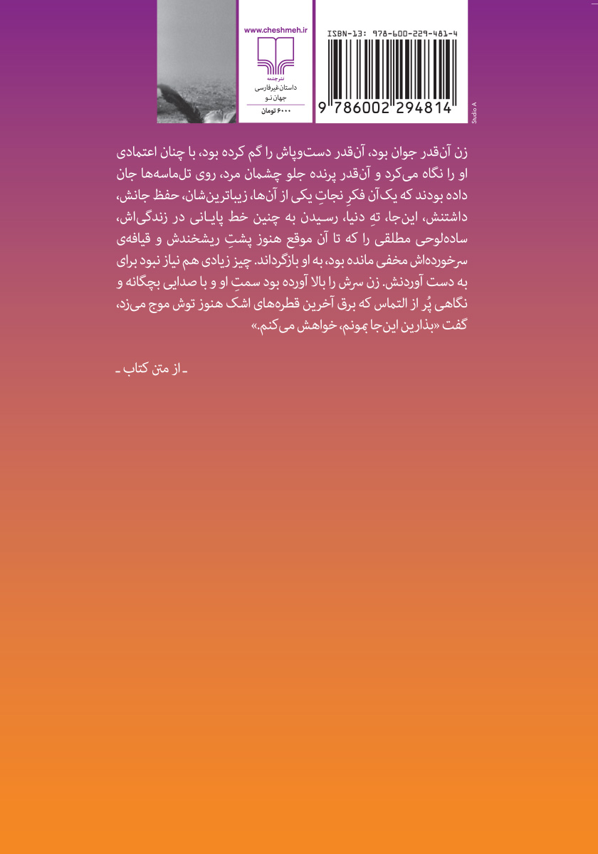پشت جلد کتاب اوضاع در ارتفاعات کلیمانجارو رو به راه است