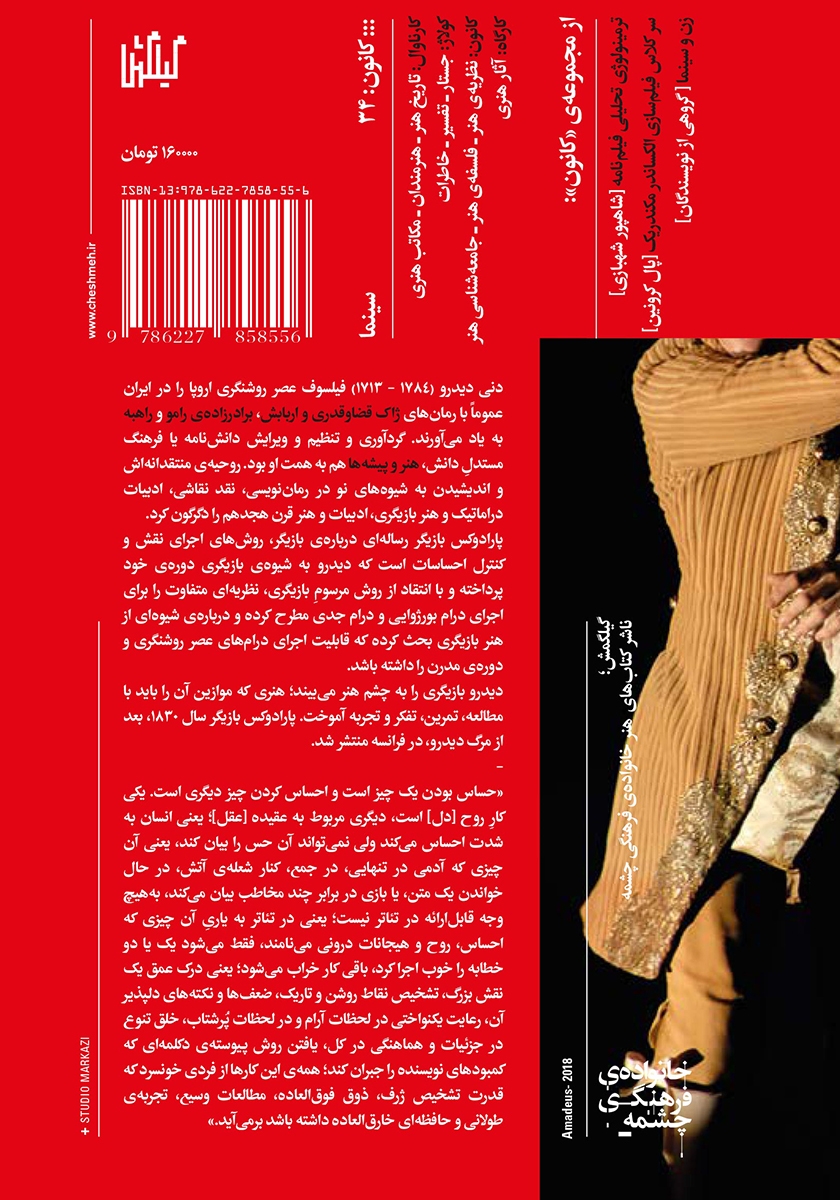 پشت جلد کتاب پارادوکس بازیگر