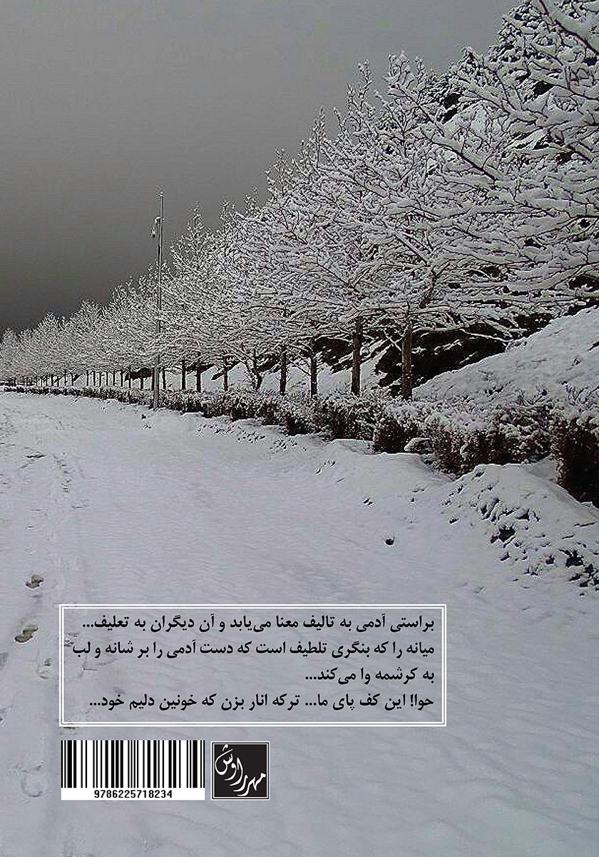 پشت جلد کتاب کتاب ز مستان به موسم زمستان