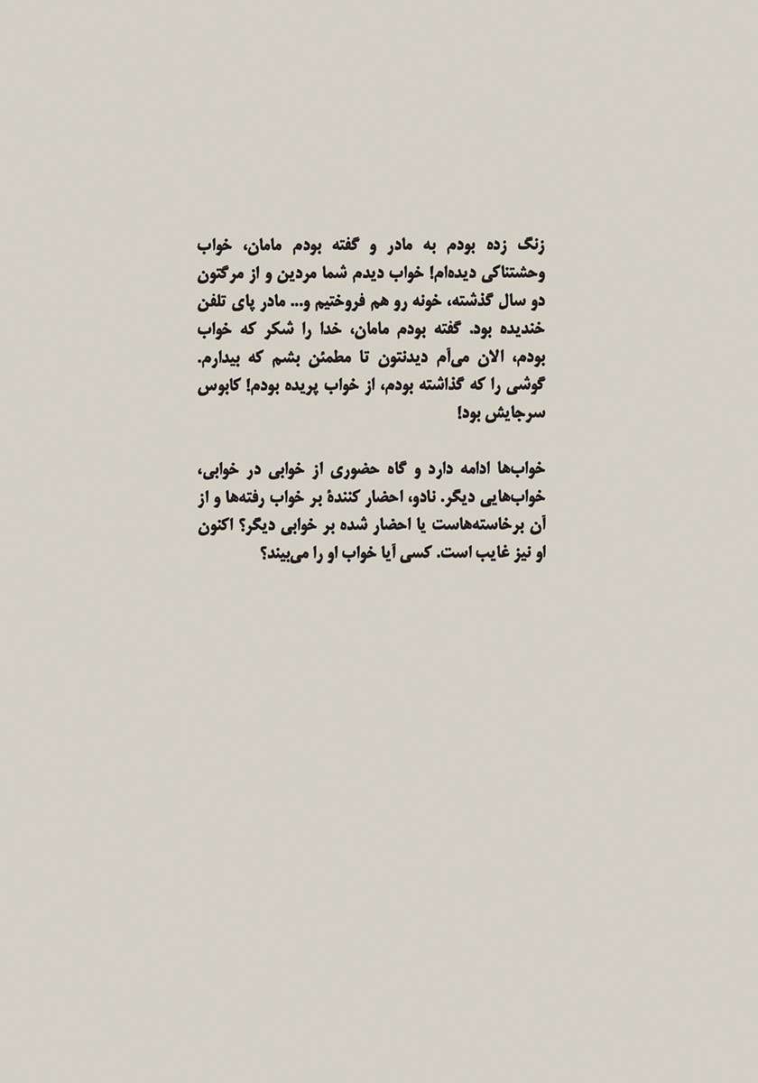 پشت جلد کتاب خوابهای گمشده