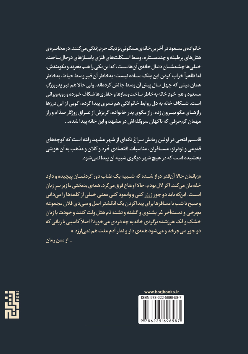 پشت جلد کتاب ناخن کشیدن روی صورت شفیع الدین