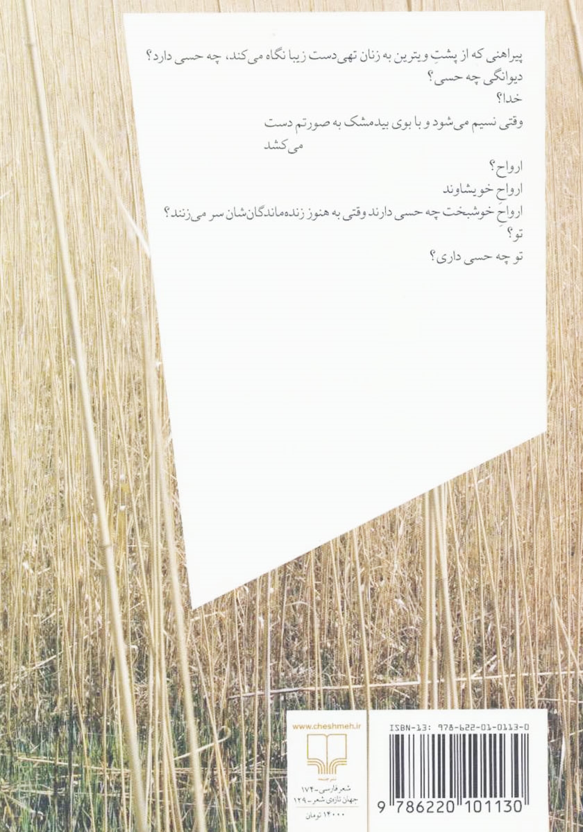پشت جلد کتاب ابری که از مقابل ماه میگذرد