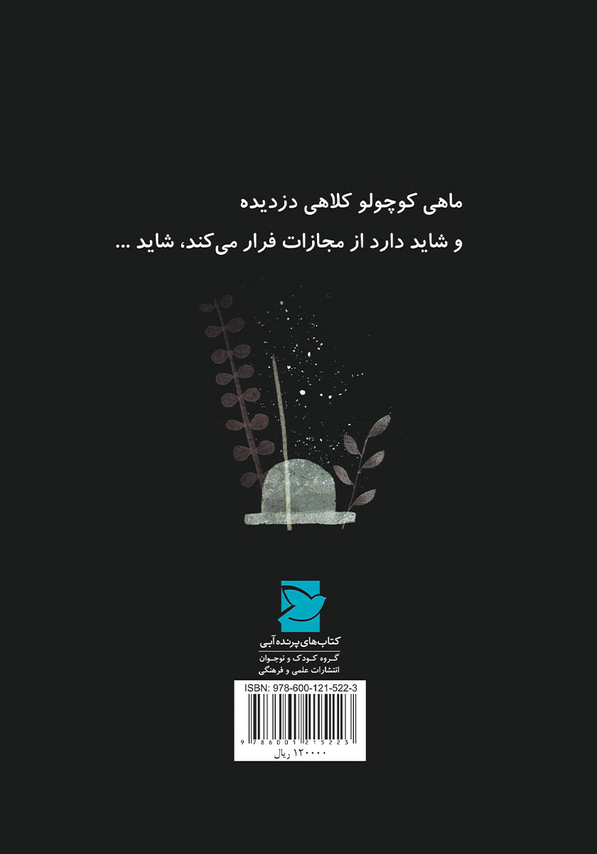 پشت جلد کتاب کلاه ماهی بزرگه گم شده
