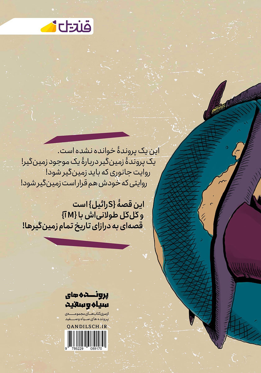 پشت جلد کتاب پرونده زمین گیر