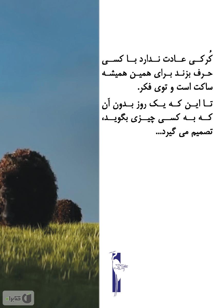 پشت جلد کتاب کتاب کرکی و مرد رویاباف