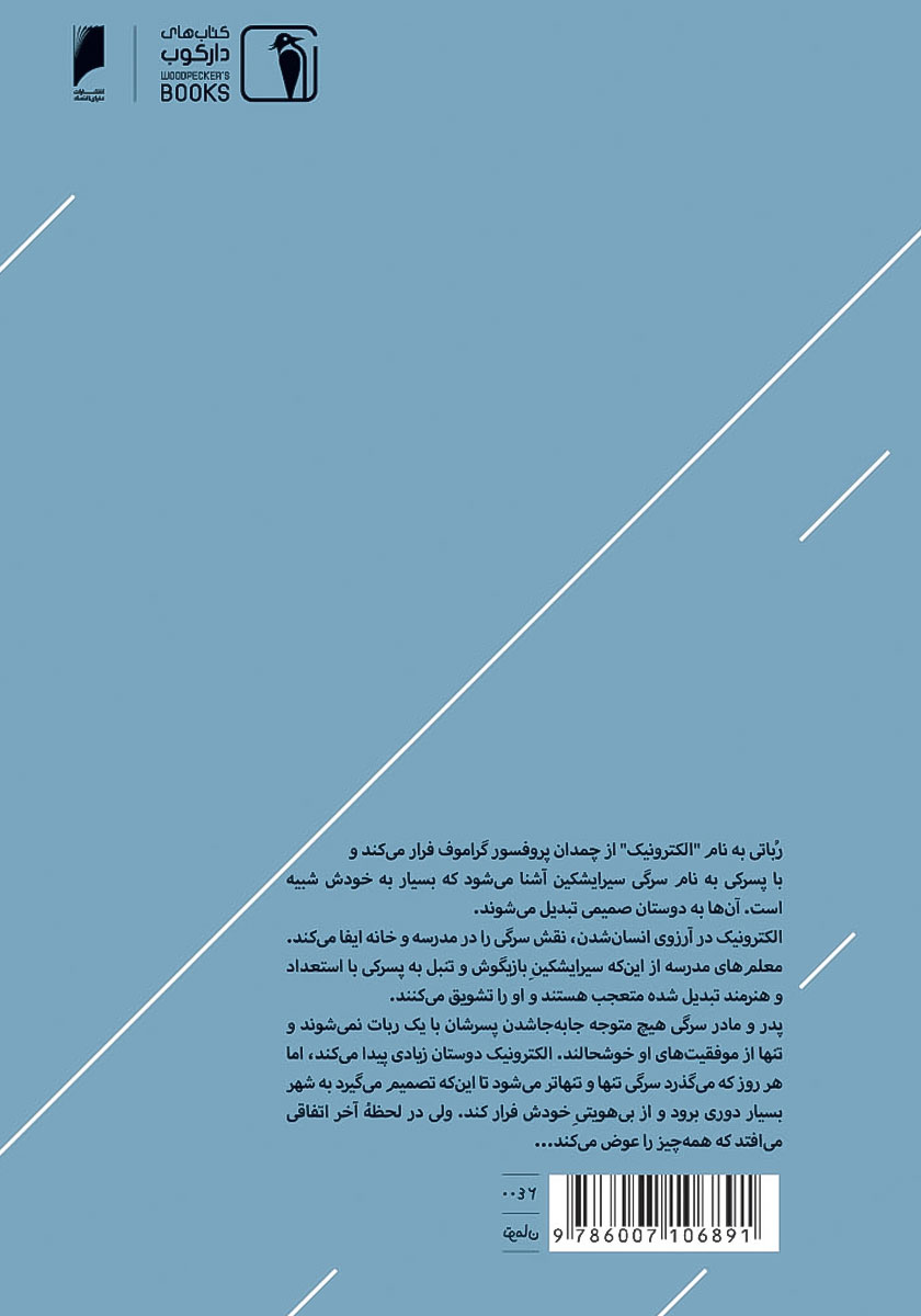 پشت جلد کتاب ماجراهای الکترونیک