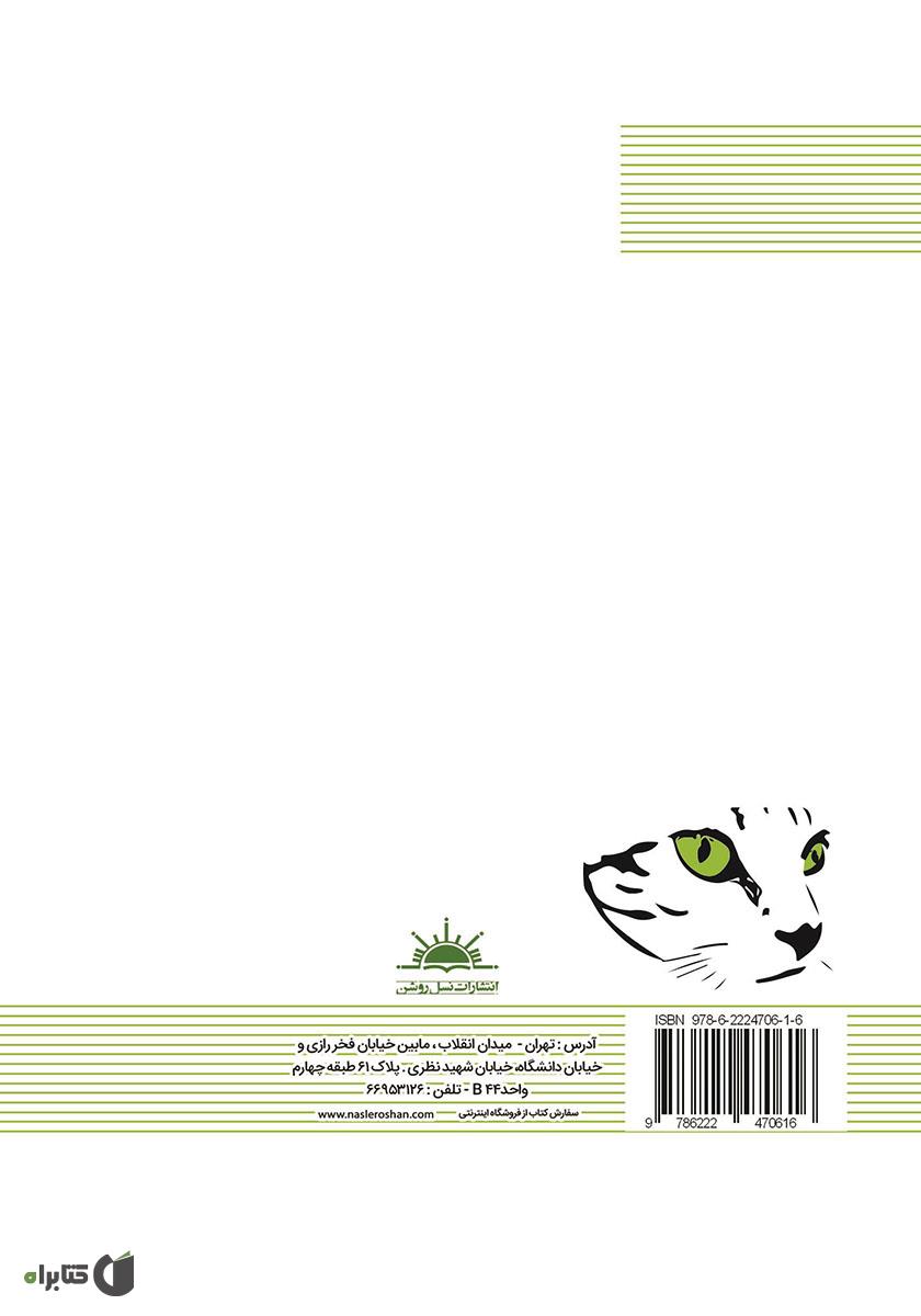 پشت جلد کتاب انتقام پیسو