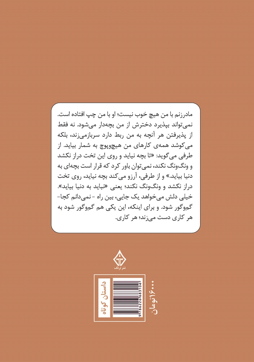 پشت جلد کتاب آدم‌ها و دودکش‌ها