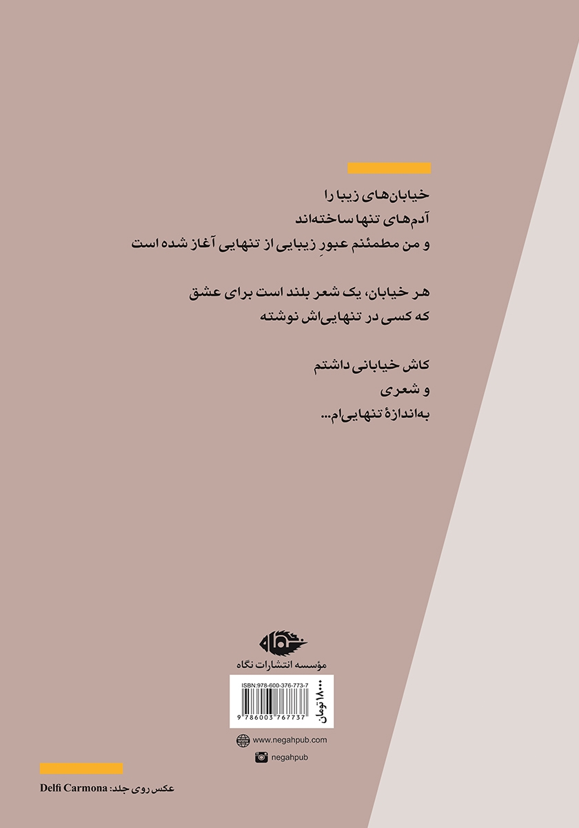 پشت جلد کتاب کتاب عبور زیبایی از تنهایی