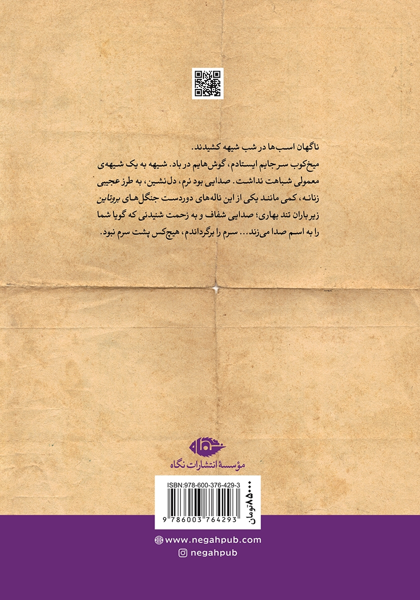 پشت جلد کتاب داستان مادری که دختر پسرش شد