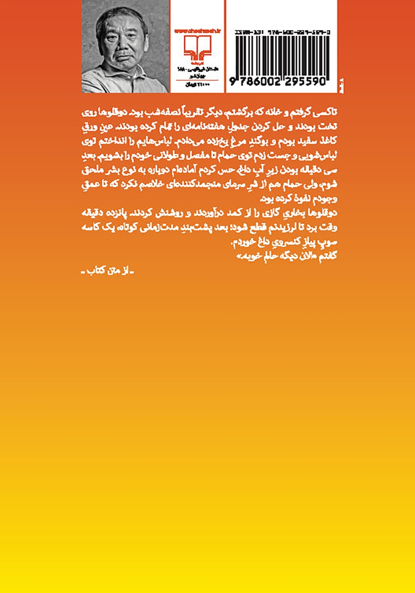 پشت جلد کتاب پین بال، 1973