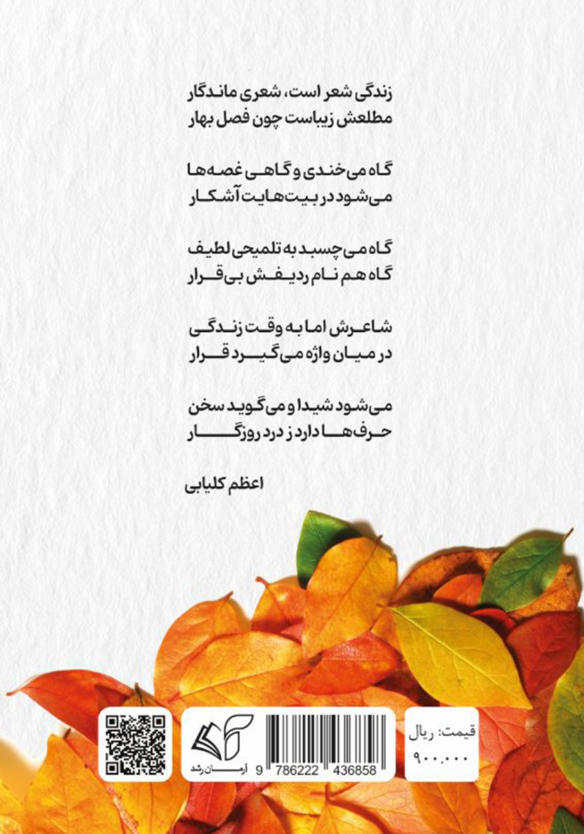 پشت جلد کتاب در حوالی چهار فصل