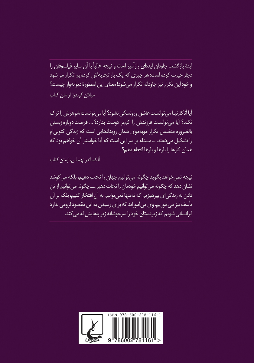 پشت جلد کتاب در هزار توی نیچه