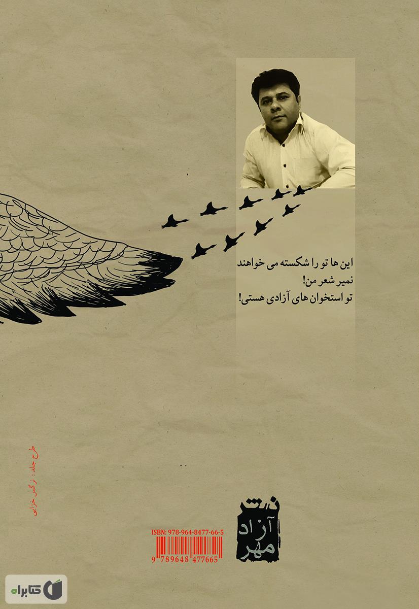 پشت جلد کتاب کتاب چشم که بچرخانی غازهای وحشی خوشبخت می شوند