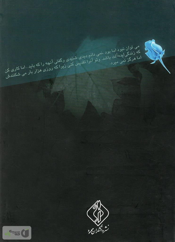 پشت جلد کتاب عمر گل یخ: مجموعه داستان